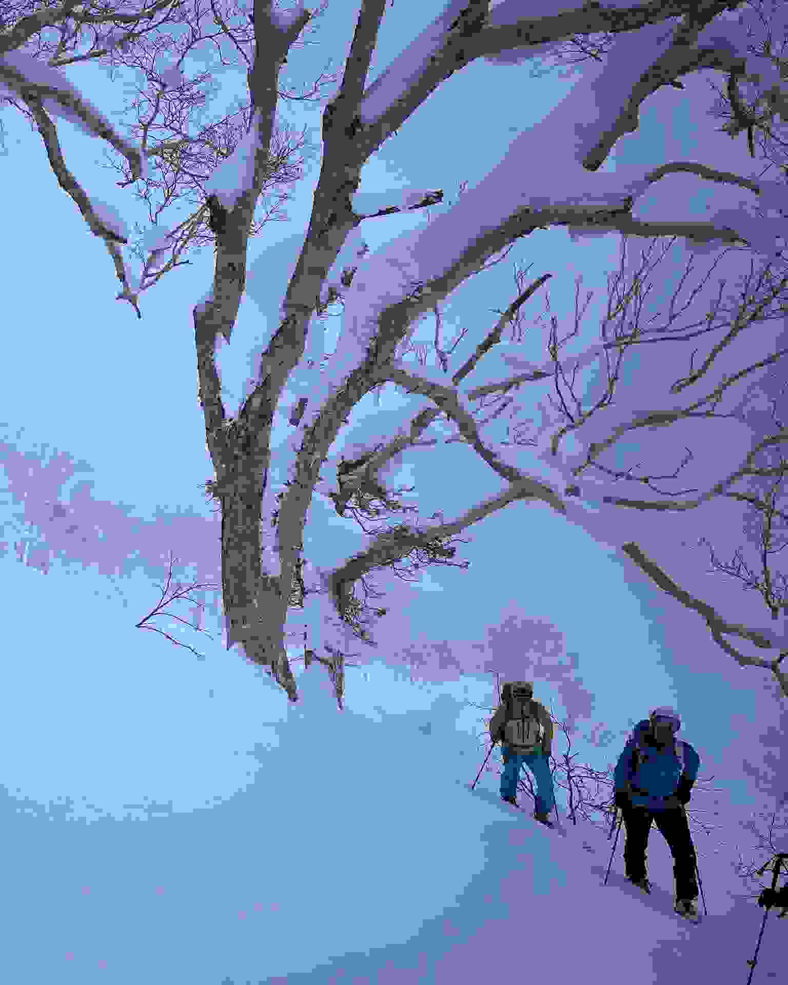Japan – Skitourenreise Hokkaido