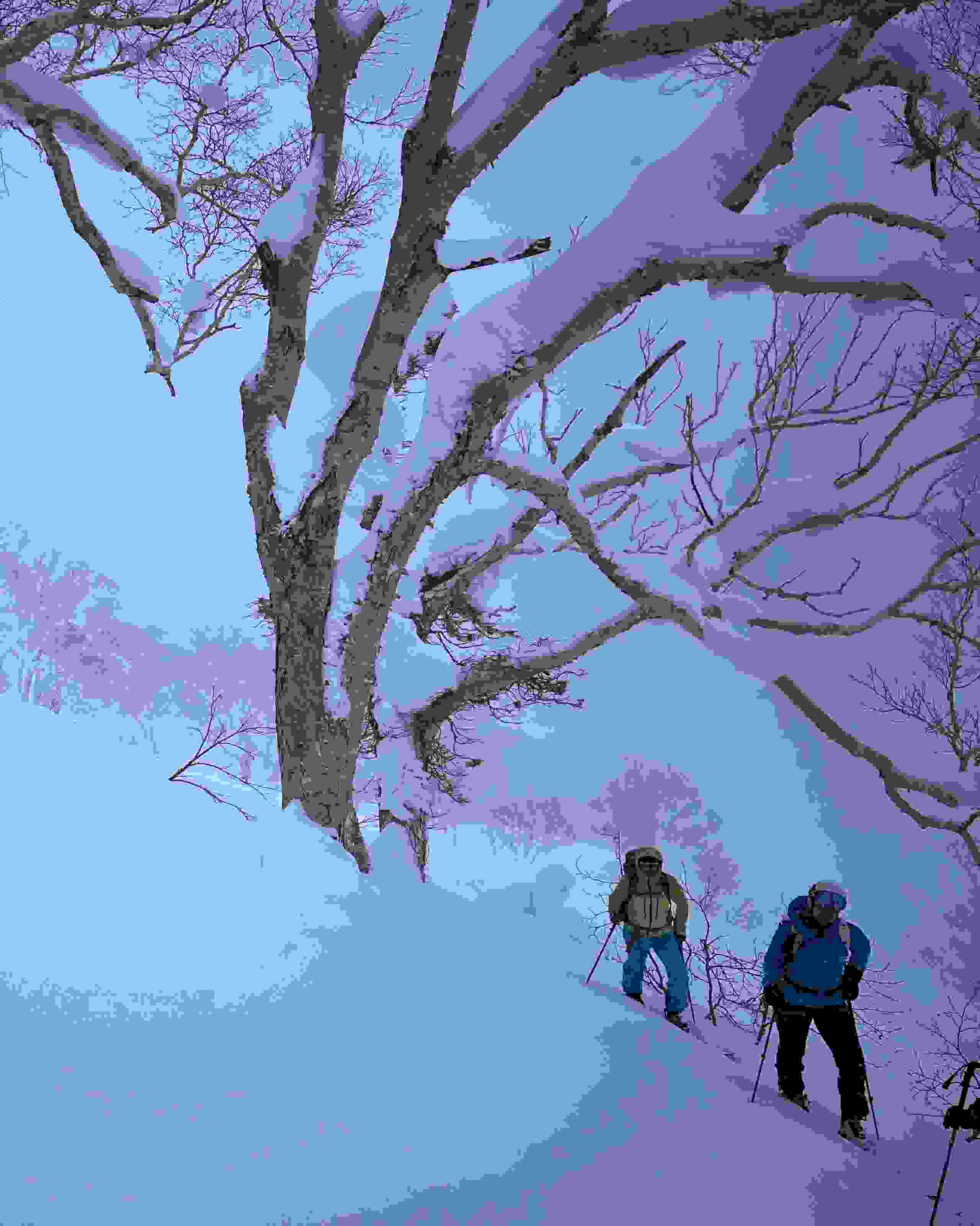 Japan – Skitourenreise Hokkaido