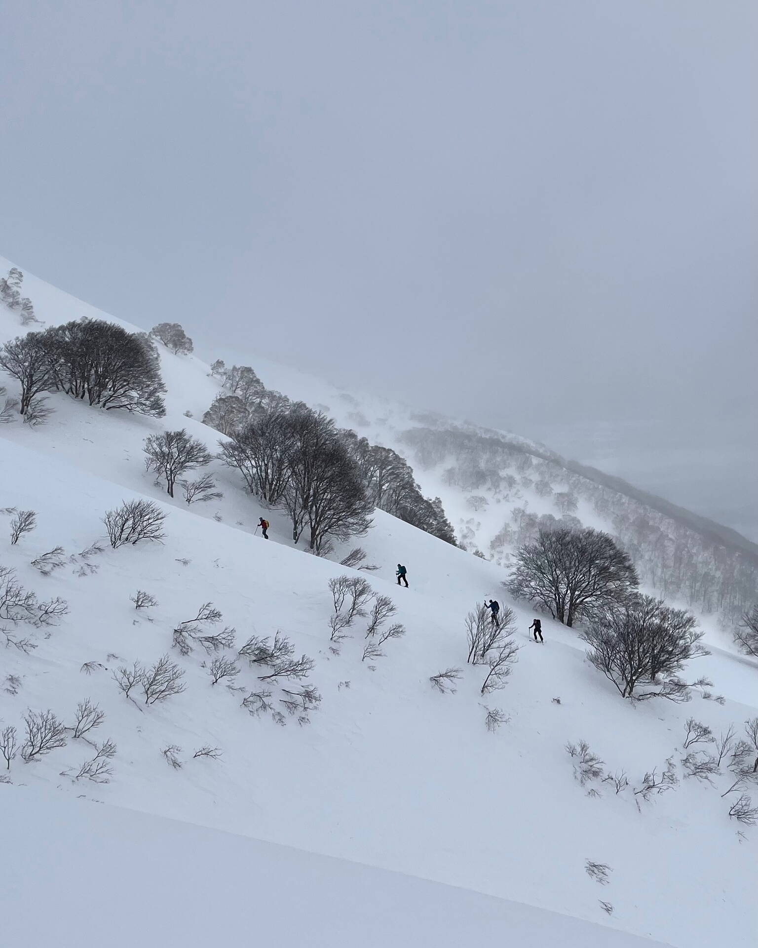 Japan – Skitourenreise Hokkaido