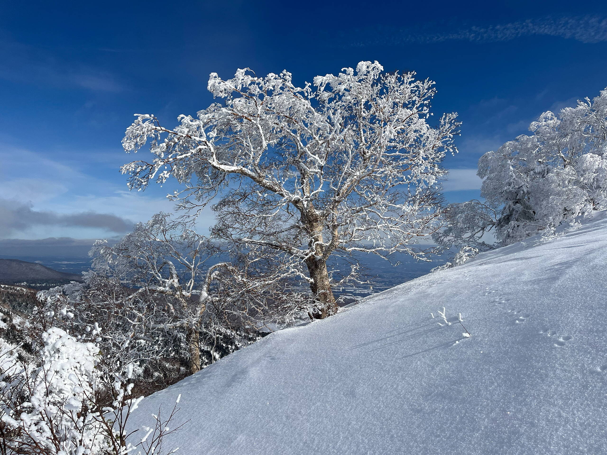 Japan – Skitourenreise Honshu Japan – Skitourenreise Honshu