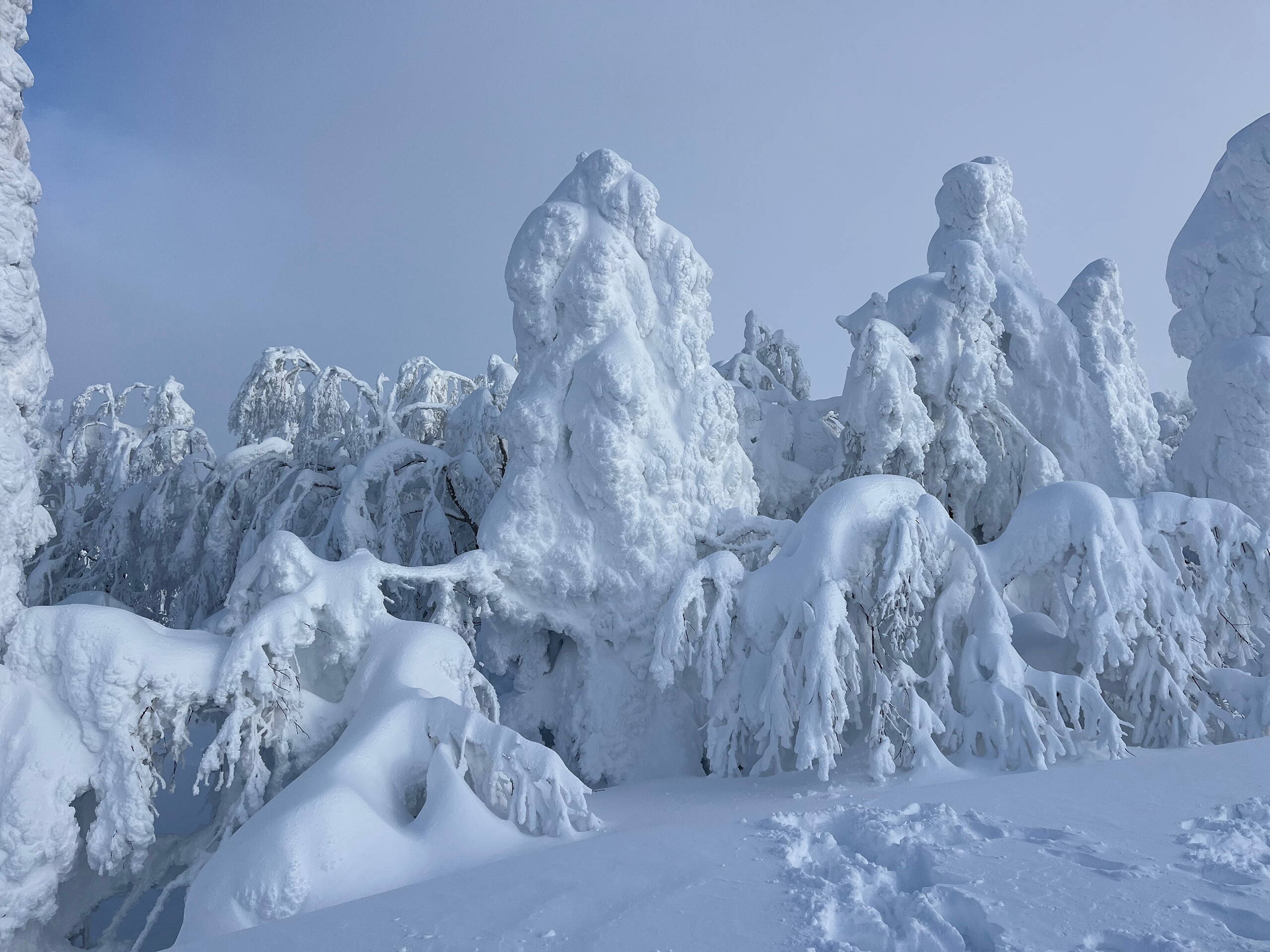 Japan – Skitourenreise Hokkaido Japan – Skitourenreise Hokkaido