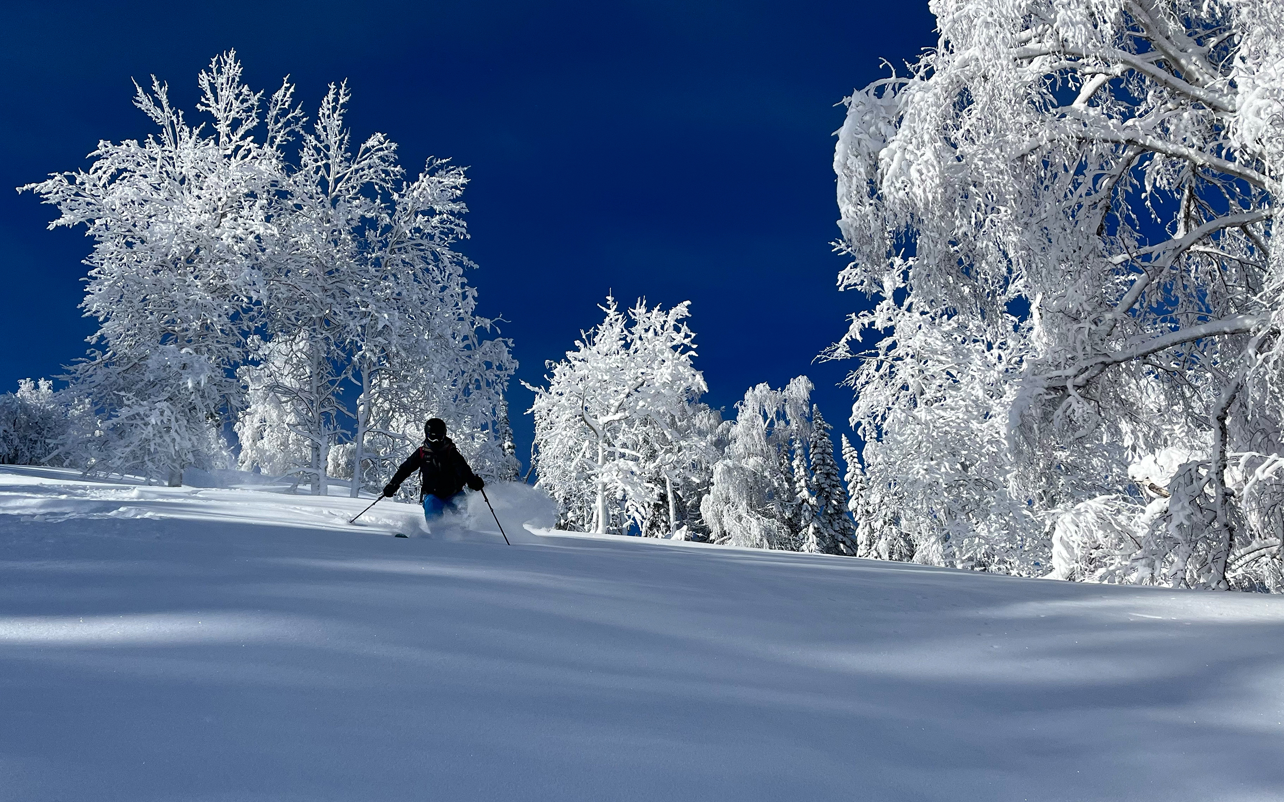 Kasachstan Altay – Sibirian Powder