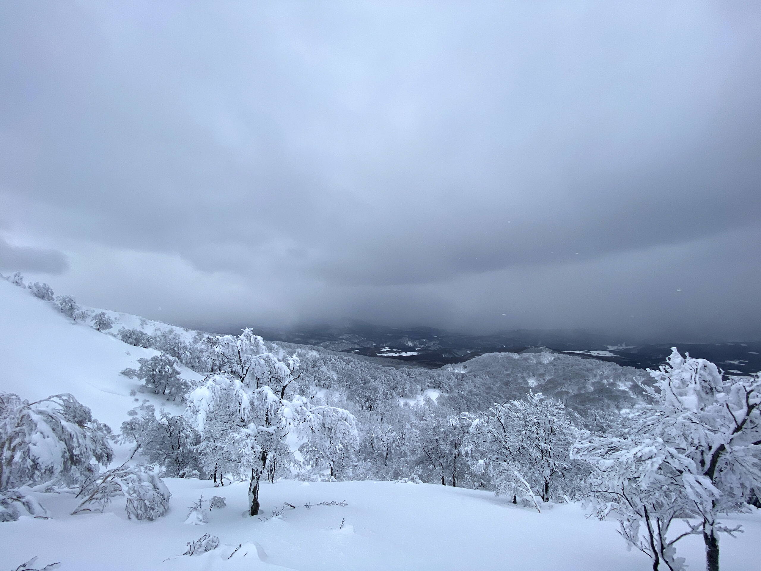 Japan – Skitourenreise Honshu Japan – Skitourenreise Honshu