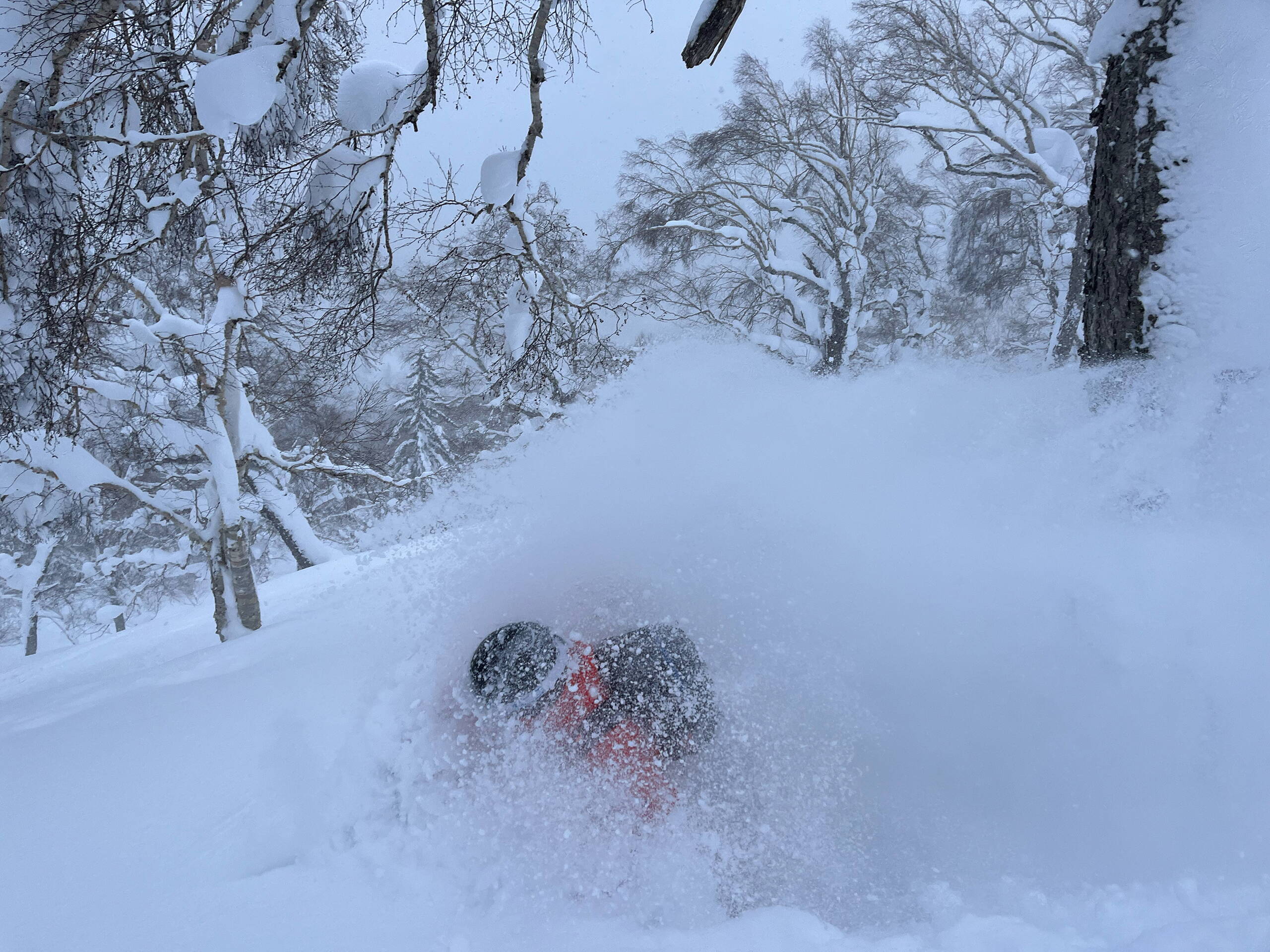 Japan – Skitourenreise Honshu Japan – Skitourenreise Honshu