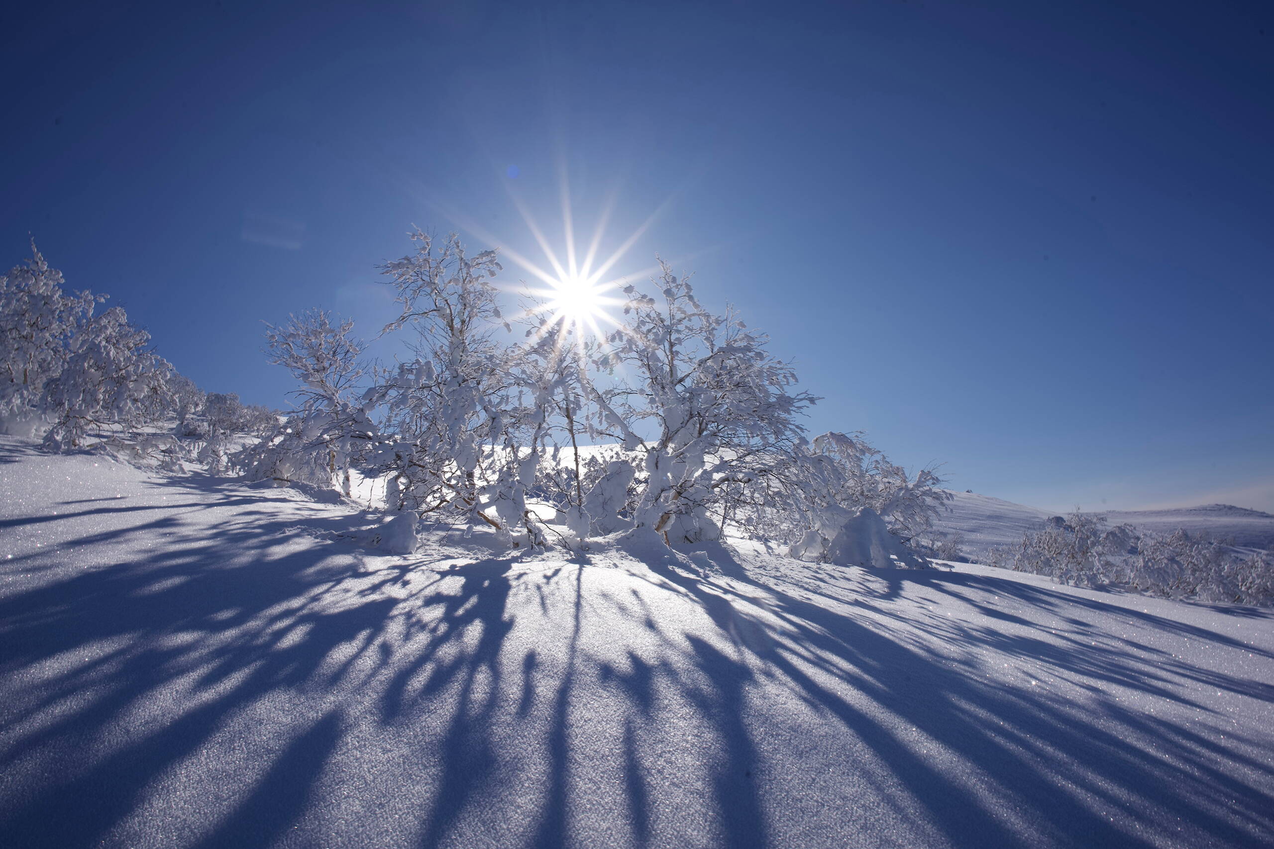 Japan – Skitourenreise Hokkaido Japan – Skitourenreise Hokkaido