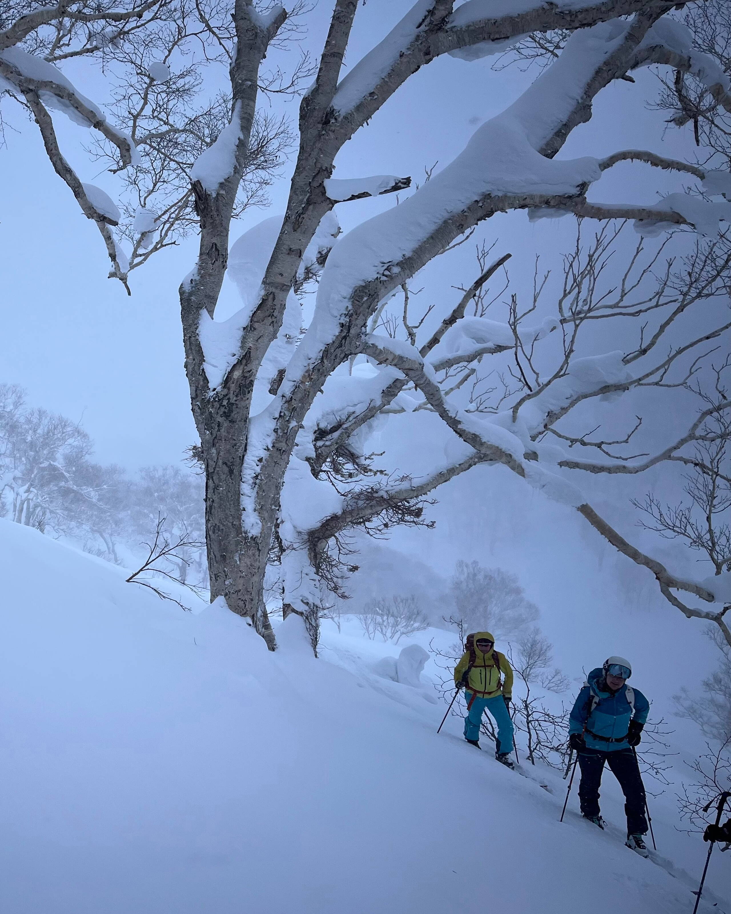 Japan – Skitourenreise Hokkaido Japan – Skitourenreise Hokkaido