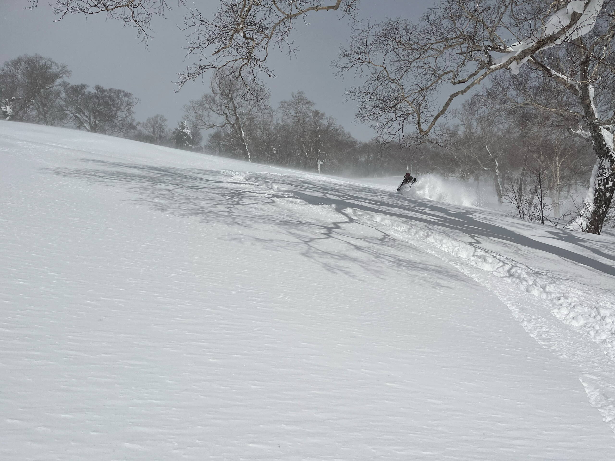 Japan – Skitourenreise Honshu Japan – Skitourenreise Honshu