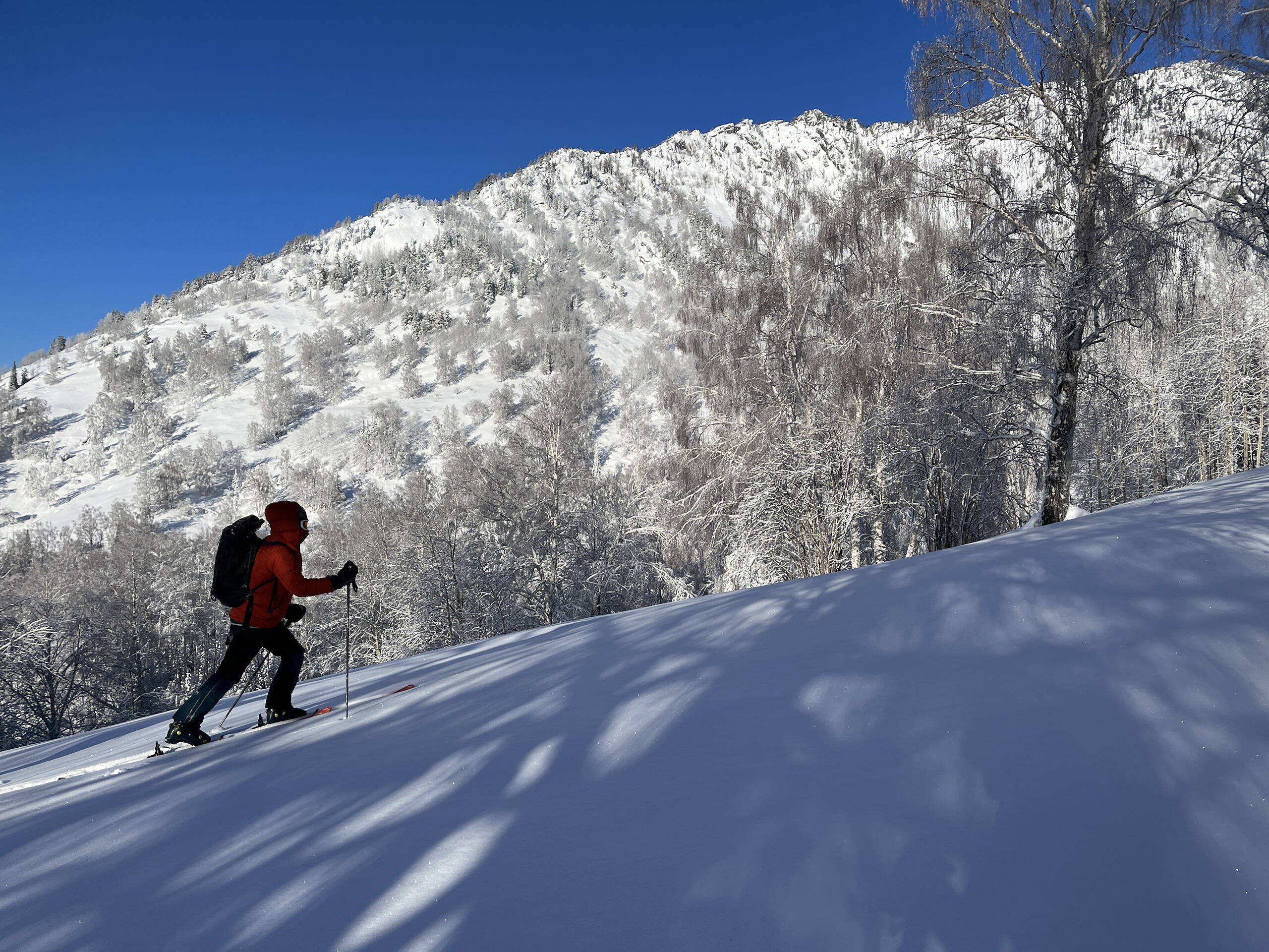 Kasachstan Altay – Sibirian Powder